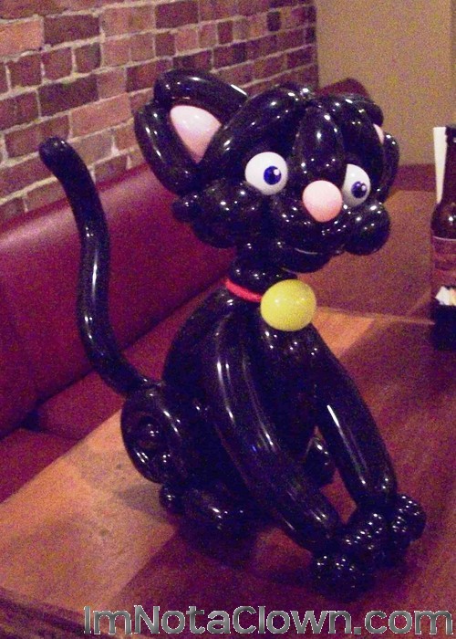 Black Cat - Halloween is coming!