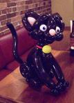 Black Cat - Halloween is coming!