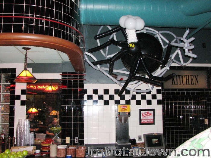 Chef Spider