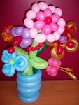 Balloon Flower Delivery