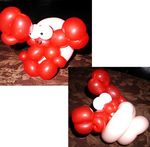 Balloon Hermit Crab in a twisty-shell