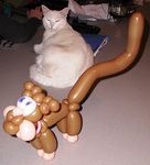 Cute Balloon Kitty