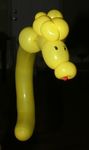 Balloon Seahorse