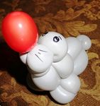 A Balloon seal doing it's thing